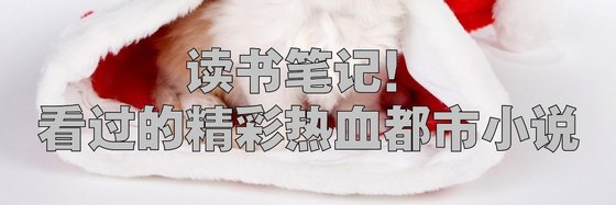 讀書筆記！看過的精彩熱血都市小説